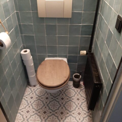 Pasicos Orly Bleu 20x20